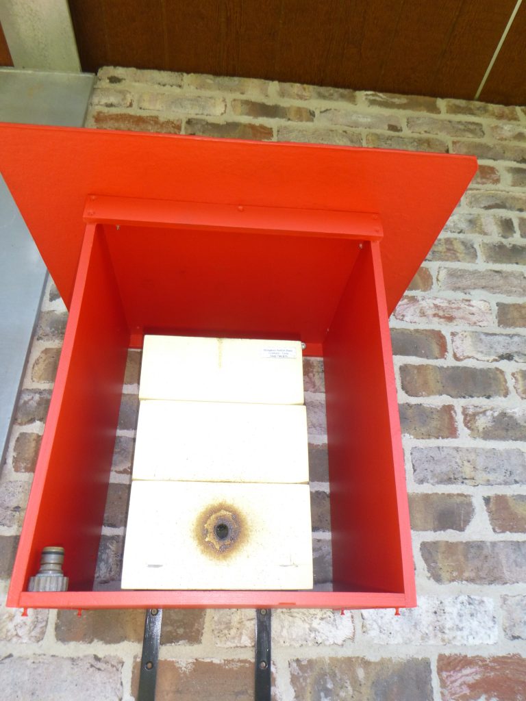 Native stingless bees at our Horsley Park early learning centre